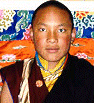 17 Karmapa Urgyen Trinley Dorje