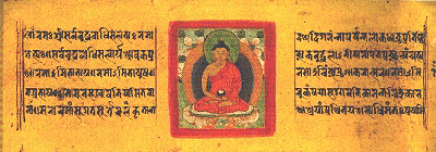 ms Kojukai C